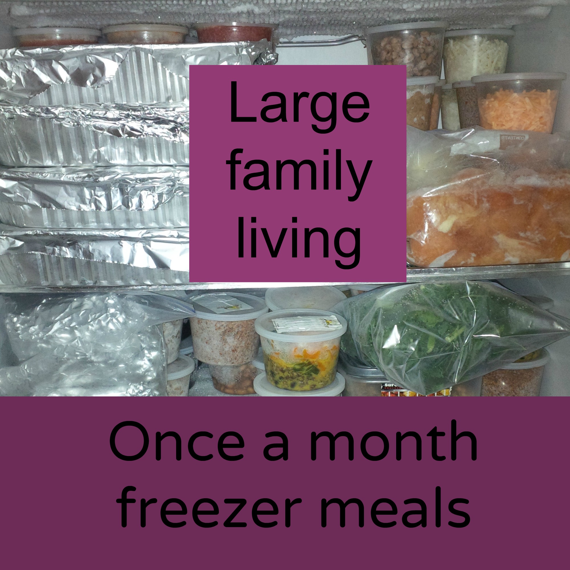 Large family living …Once a month freezer meals part 2 | Plain and not ...