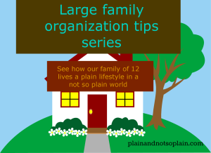 large family organization series